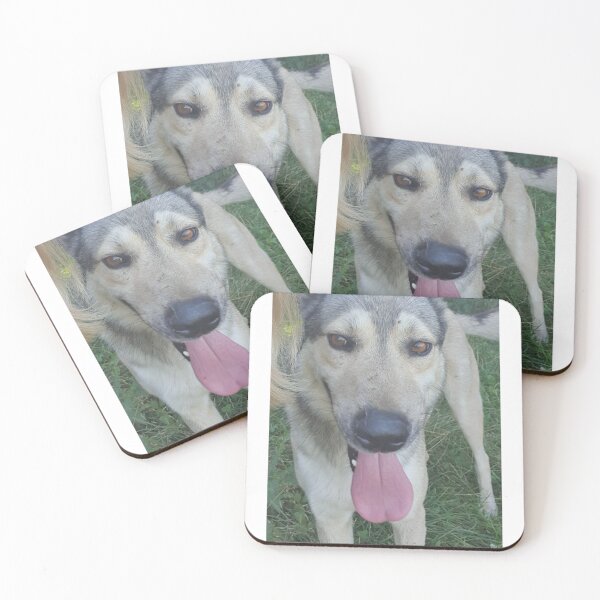 Item preview, Lovely ,friendly,curios dog designed and sold by Filice.