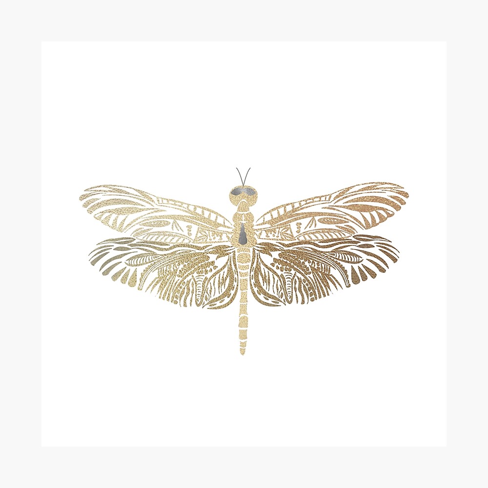 Dragonfly Tattoo Design  Dragonfly   ClipArt Best  ClipArt Best