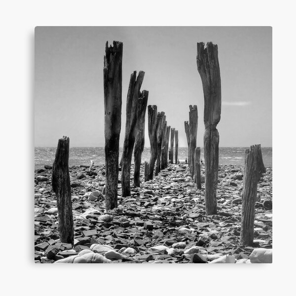 Martin's Jetty Metal Print