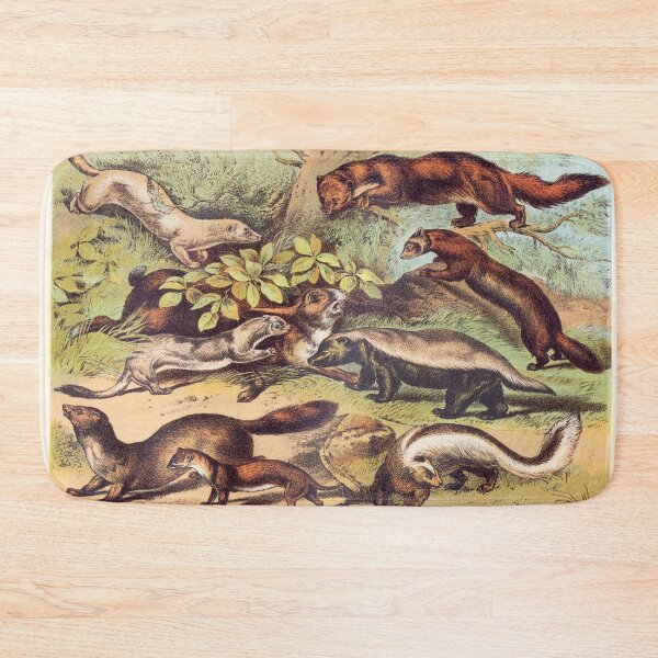Item preview, Ferret, Ermine, Weasel, Sable, Pine, Martin, Pole Cat, Ratel and Skunk designed and sold by Vintage Designs +.