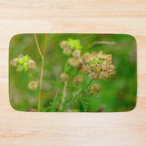 Item preview, Mallow seed head designed and sold by Dalyndigital Photography.