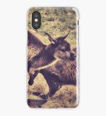 Kangaroos iPhone Case