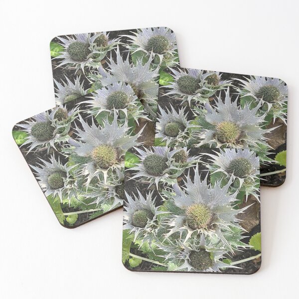 Item preview, TAMalloyPhoto - WILD & SPIKEY designed and sold by TAMalloyPhoto.