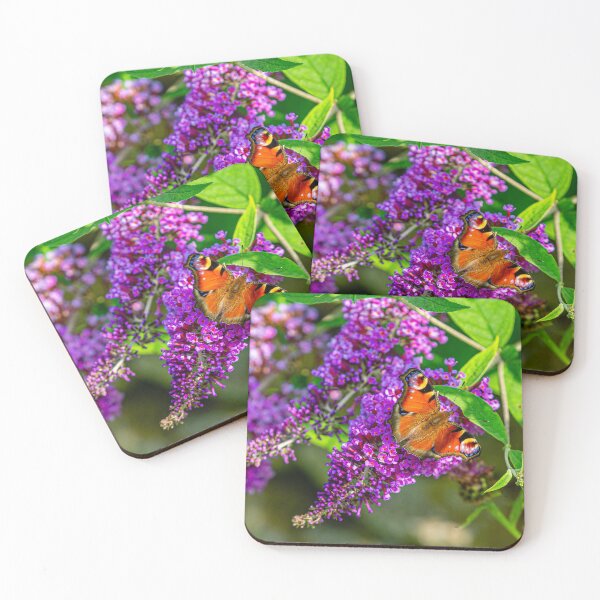 Item preview, Peacock Butterfly on Buddleia flowers in the Sun designed and sold by Dalyndigital Photography.