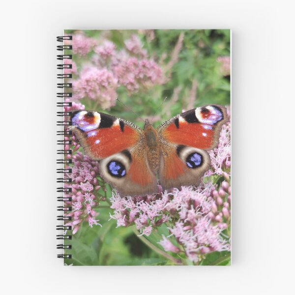 Artikelvorschau, Schmetterling auf Blume entworfen und verkauft von Vejuu.
