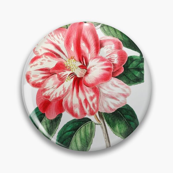 Item preview, Donckelaer's Japan Camelia (1829—1847)  designed and sold by FindYouByZ.