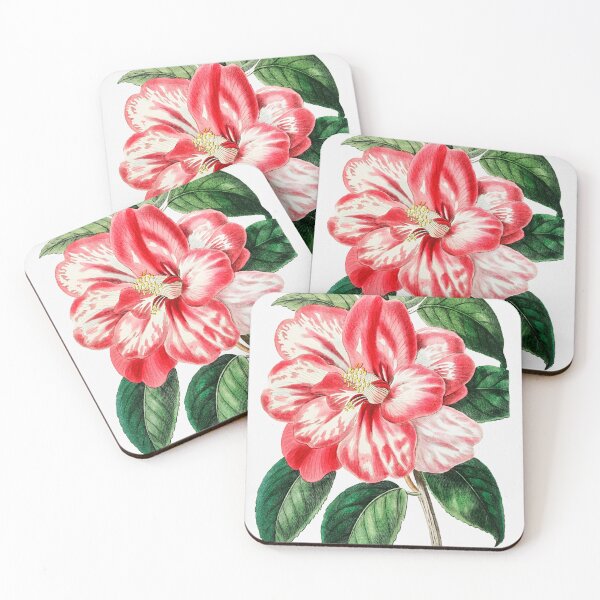 Item preview, Donckelaer's Japan Camelia (1829—1847)  designed and sold by FindYouByZ.