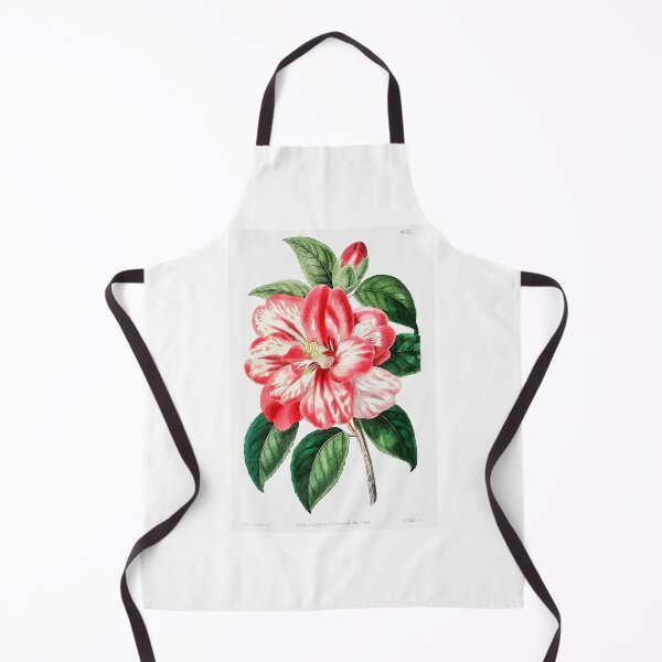 Item preview, Donckelaer's Japan Camelia (1829—1847)  designed and sold by FindYouByZ.
