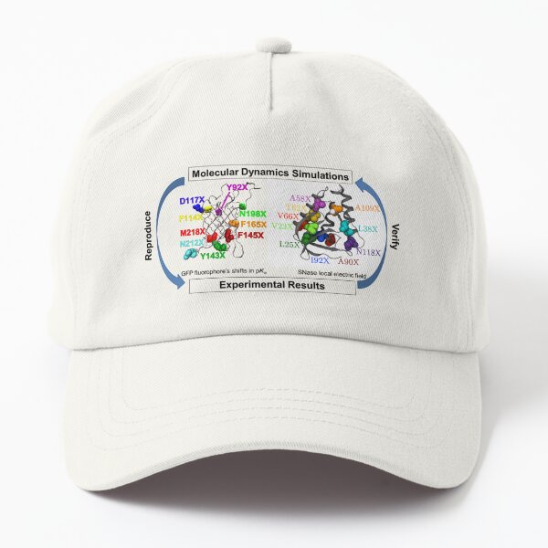 Molecular Dynamics Simulation Dad Hat