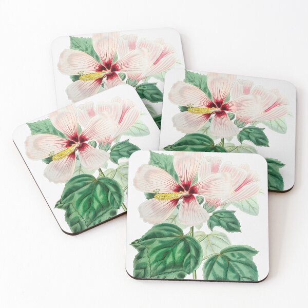Item preview, Marsh hibiscus (1829—1847) by Sydenham Edwards, John designed and sold by FindYouByZ.