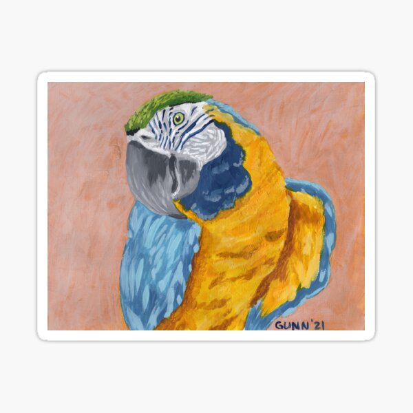 Blue and Gold Macaw Sticker