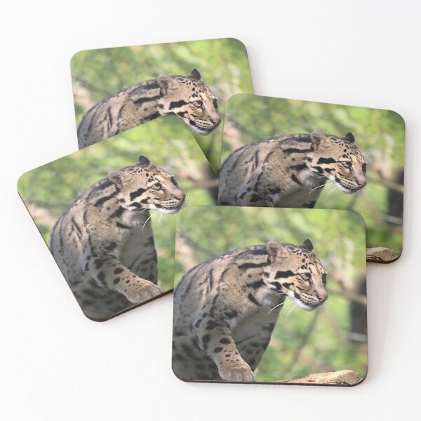 Item preview, A Fabulous Clouded Leopard designed and sold by Karen Thomson.