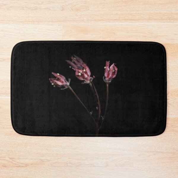 Item preview, Graptopetalum bellum. Dry flower. Still life. Black designed and sold by dariaikuznets.