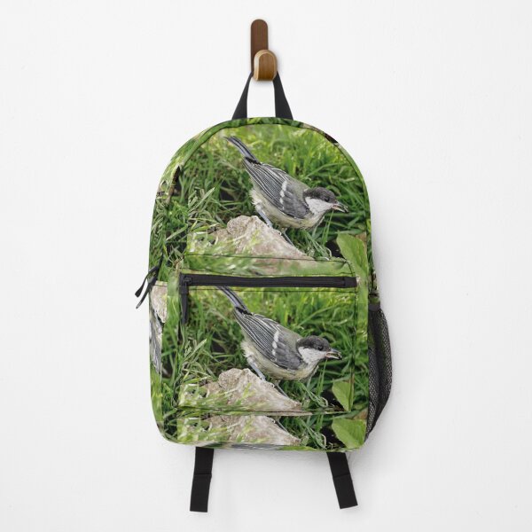 Item preview, r1084 New Finition 2021 -- Oiseau " Mésange Charbonnière " 2014 (c)(t) Olavia-Olao Okaio Créations designed and sold by o.okaïo.