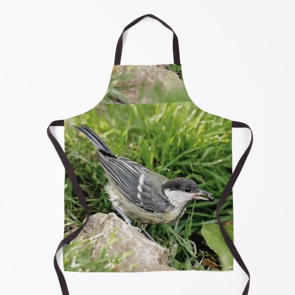 Item preview, r1084 New Finition 2021 -- Oiseau " Mésange Charbonnière " 2014 (c)(t) Olavia-Olao Okaio Créations designed and sold by o.okaïo.