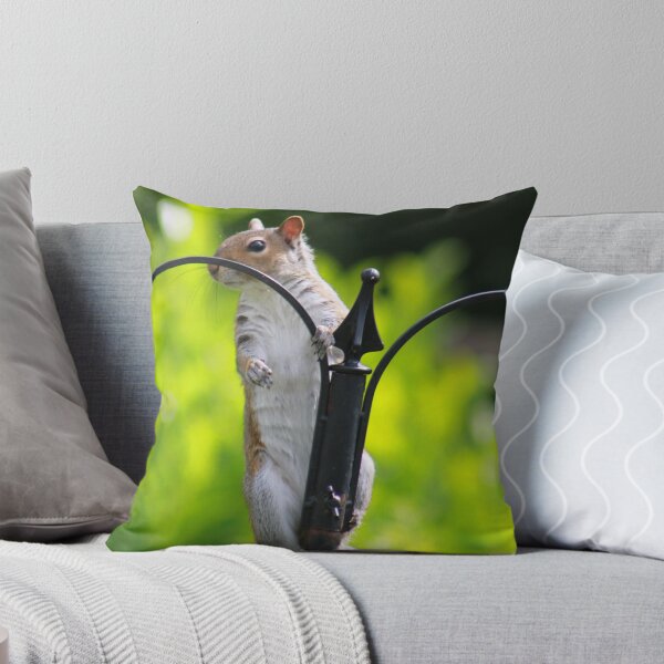 Item preview, Grey squirrel on bird feeder designed and sold by turniptowers.