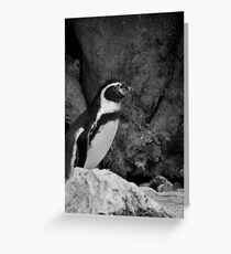 The King of the Mountain Greeting Card