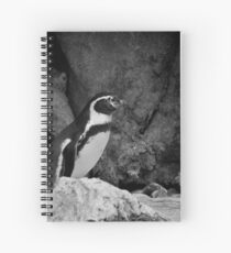 The King of the Mountain Spiral Notebook