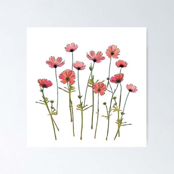 Pink Cosmos Flower Embroidery Kit Flowers Embroidery Kit Botanical