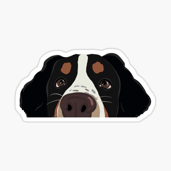 Curious Bernese Mountain Dog - Freckles Sticker