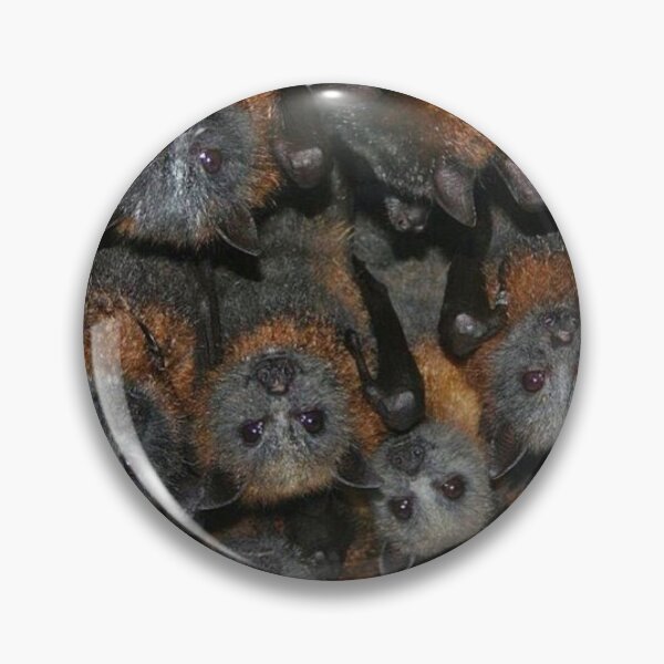 Item preview, Gorgeous Grey Headed Flying Fox Bats. designed and sold by BabyBats.