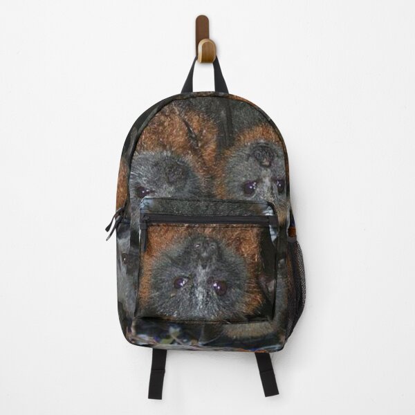 Item preview, Gorgeous Grey Headed Flying Fox Bats. designed and sold by BabyBats.