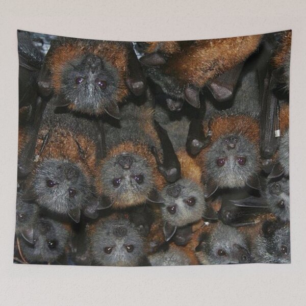 Item preview, Gorgeous Grey Headed Flying Fox Bats. designed and sold by BabyBats.