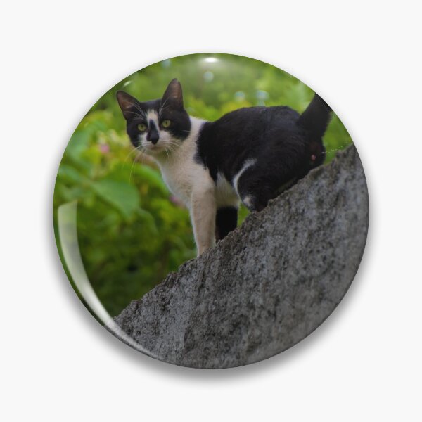 Item preview, That Insolent Darn Cat designed and sold by alabca.
