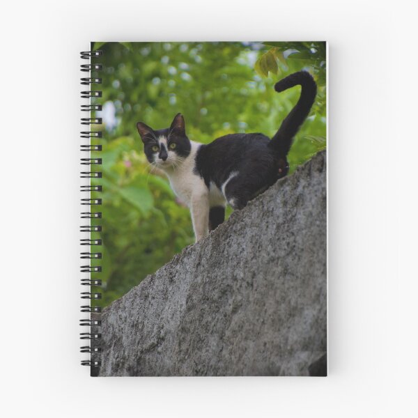 Item preview, That Insolent Darn Cat designed and sold by alabca.