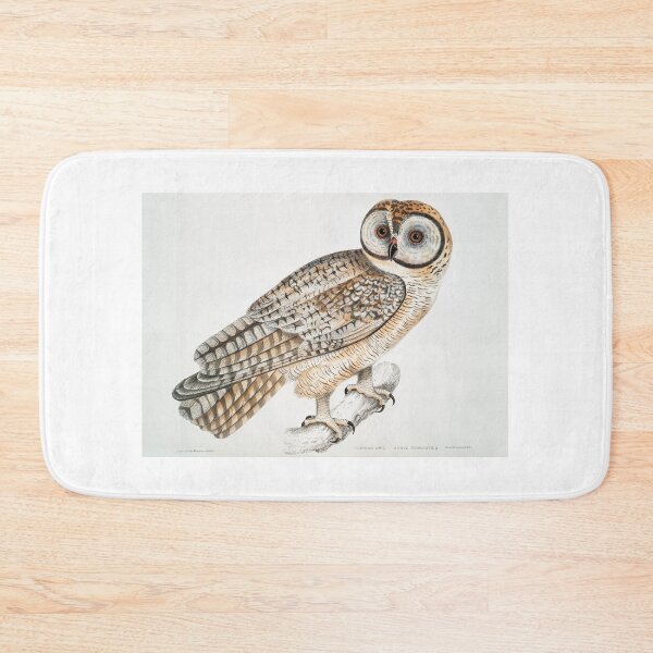 Item preview, Chinese Owl (Strix Sinensis) (1830-1834) by John Edward Gray designed and sold by FindYouByZ.
