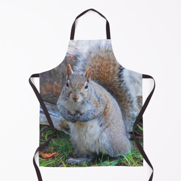 Item preview, Unique Squirrel Colors C2022 Steve Yellowbear designed and sold by SteveYellowbear.
