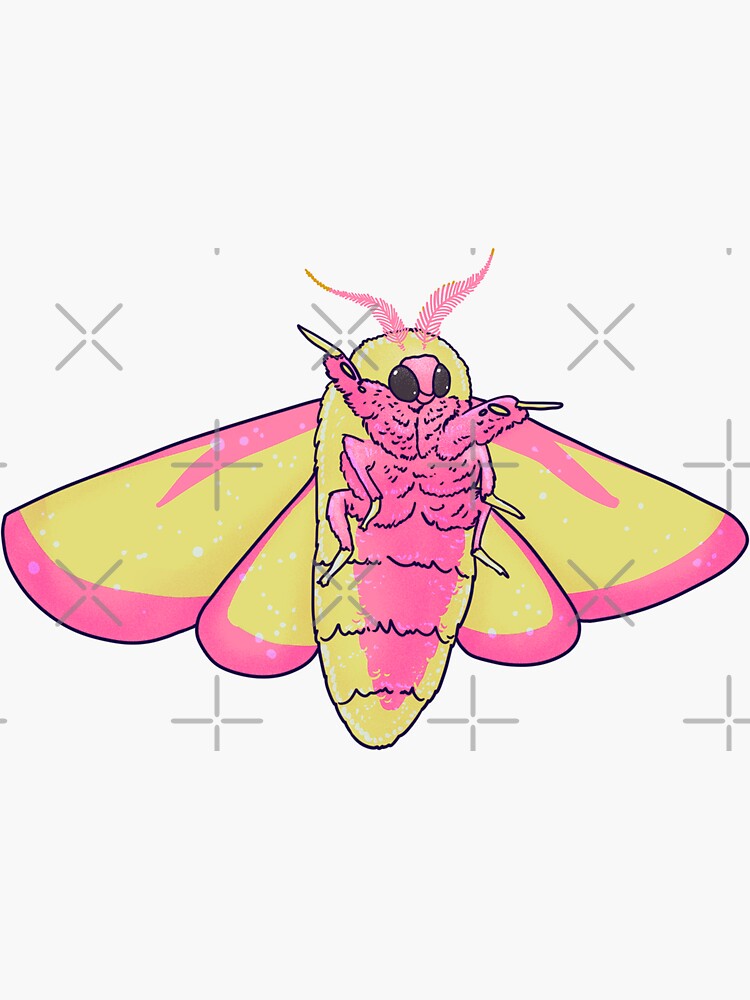 Rosy Maple Moth Waterproof Vinyl Sticker – Botanical Bright - Add a Little  Beauty to Your Everyday