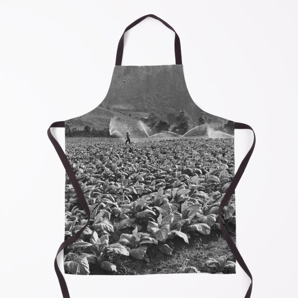 Item preview, Vintage photo of a tobacco field in honduras designed and sold by JerryFrank.