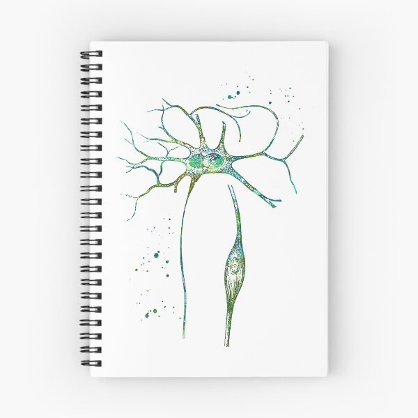 Item preview, Neuron Cells Anatomy designed and sold by EvasDreams.