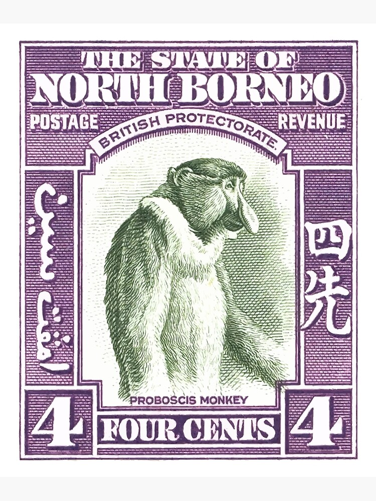 1939 North Borneo Proboscis Monkey Stamp Photographic Print