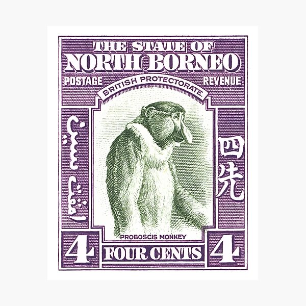 1939 North Borneo Proboscis Monkey Stamp Photographic Print