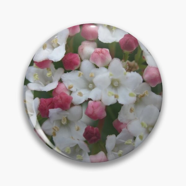 Artikelvorschau, Kleine weiße und rosa Blumen entworfen und verkauft von GnomishWorkshop.