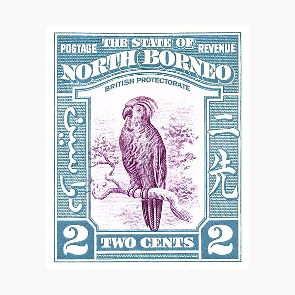 1939 North Borneo Palm Cockatoo Postage Stamp Photographic Print