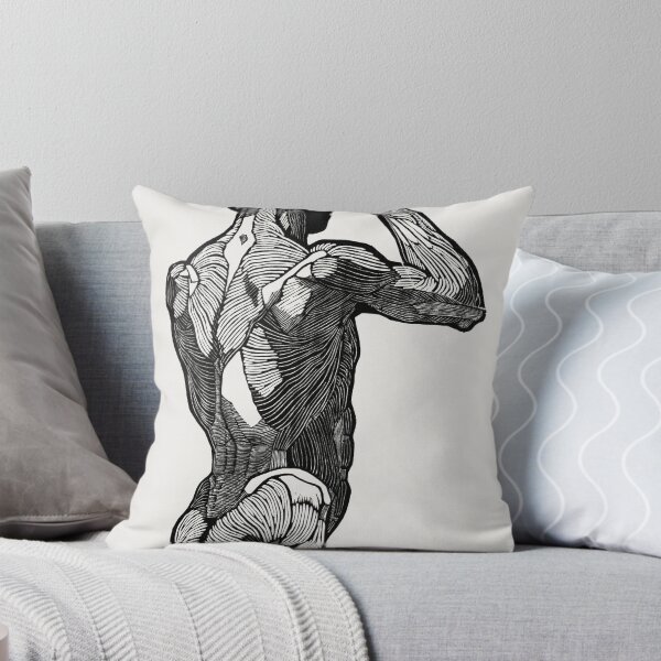 Item preview, Anatomical study of a man's back muscles (1906–1945) by Reijer Stolk designed and sold by Designedbysm.