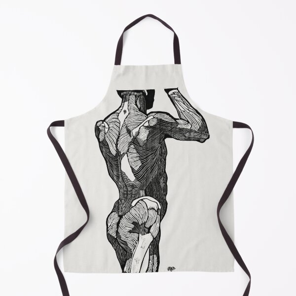 Item preview, Anatomical study of a man's back muscles (1906–1945) by Reijer Stolk designed and sold by Designedbysm.