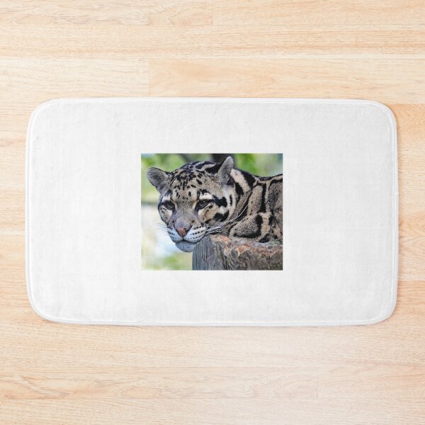 Item preview,  A Beautiful Clouded Leopard designed and sold by Karen Thomson.