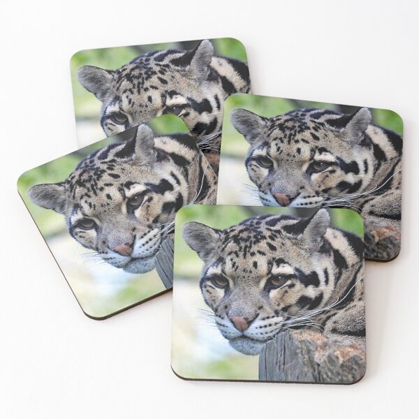 Item preview,  A Beautiful Clouded Leopard designed and sold by Karen Thomson.
