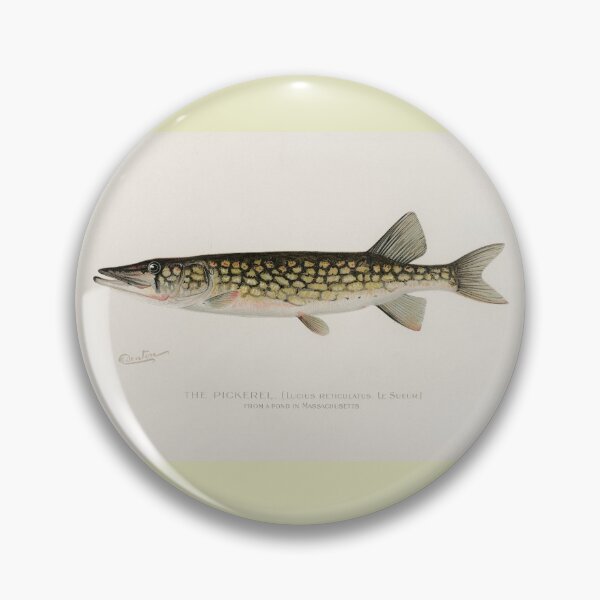 Item preview, Pickerel Lithograph Sherman F. Denton designed and sold by GoldenDoodleDen.