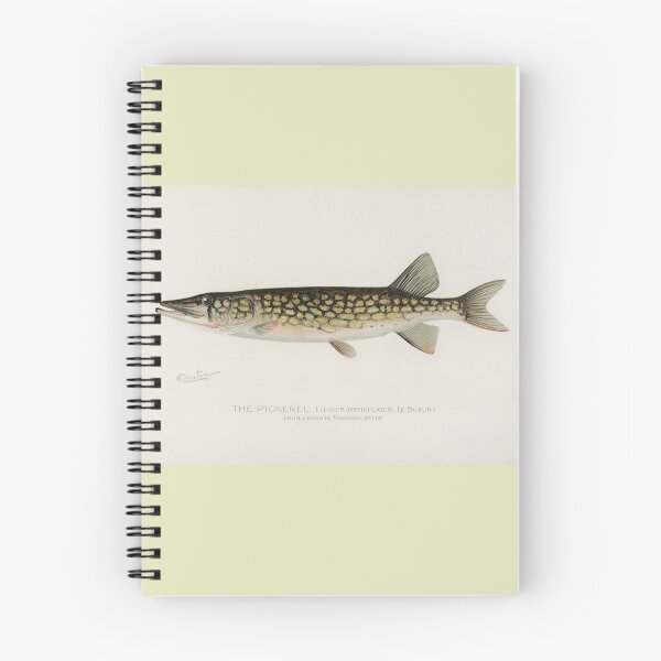 Item preview, Pickerel Lithograph Sherman F. Denton designed and sold by GoldenDoodleDen.