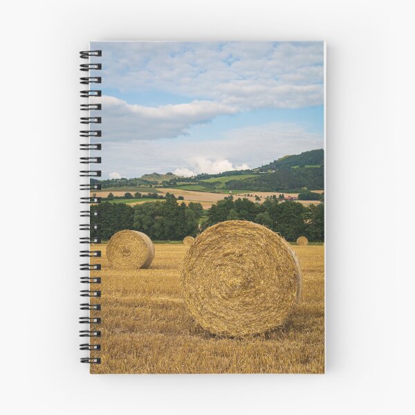 Item preview, straw bales designed and sold by Ronenvief.