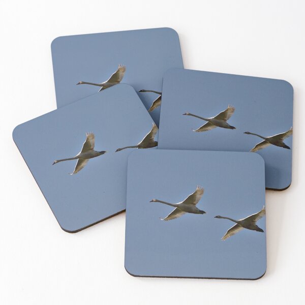 Item preview, Swans in Flight - A Flypast designed and sold by Jeremy Hayden.