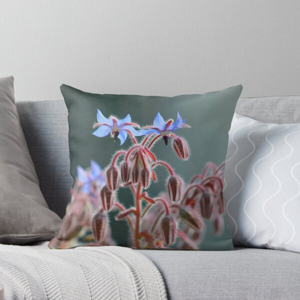 Item preview, Borage flowers designed and sold by turniptowers.