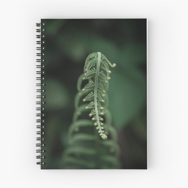 Item preview, Fine Art Baby Fern designed and sold by BlackRockStudio.
