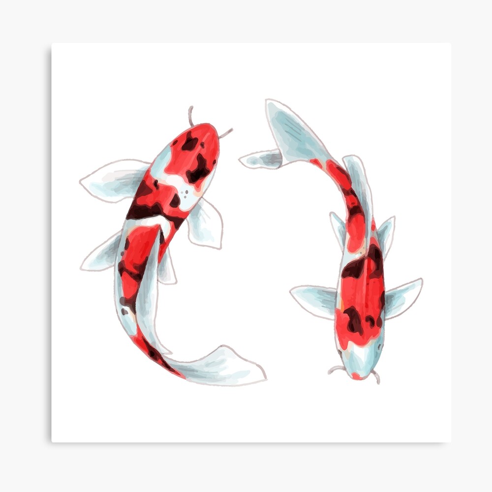 japanese koi fish cartoon illustration japanese koi fish cartoon illustration