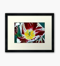 flower Framed Print
